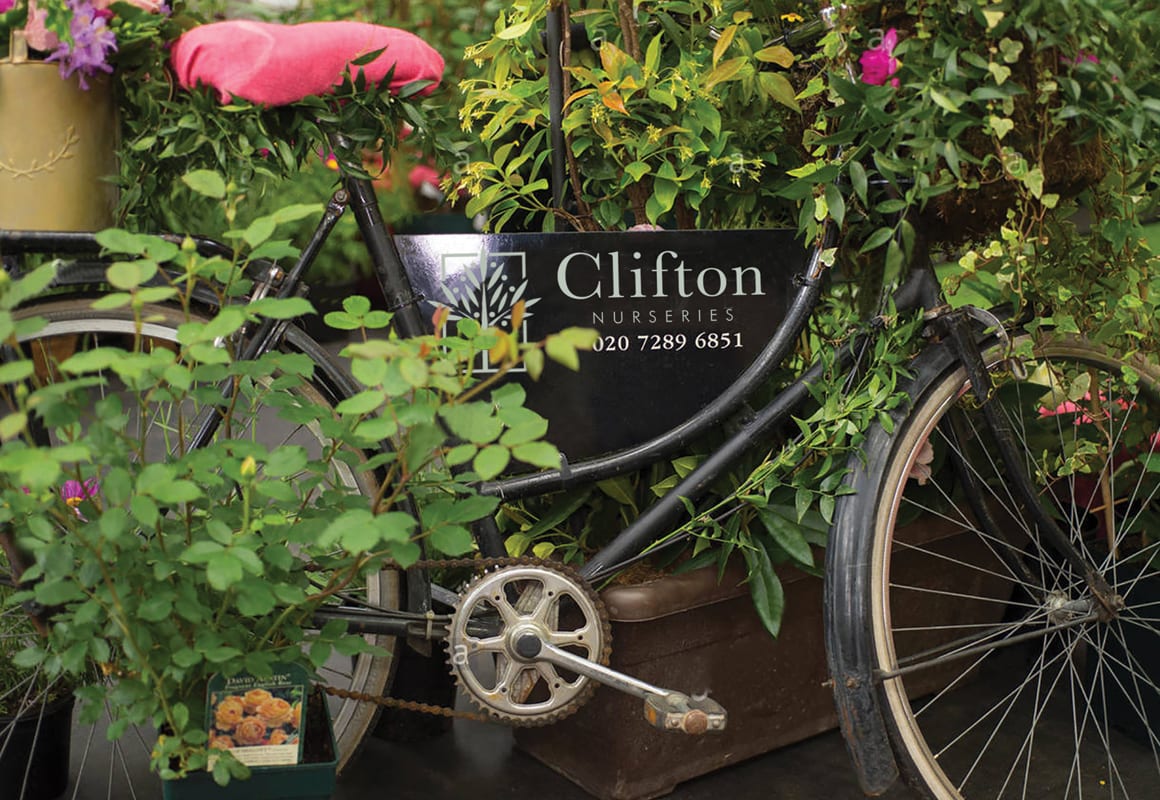 Clifton Nurseries